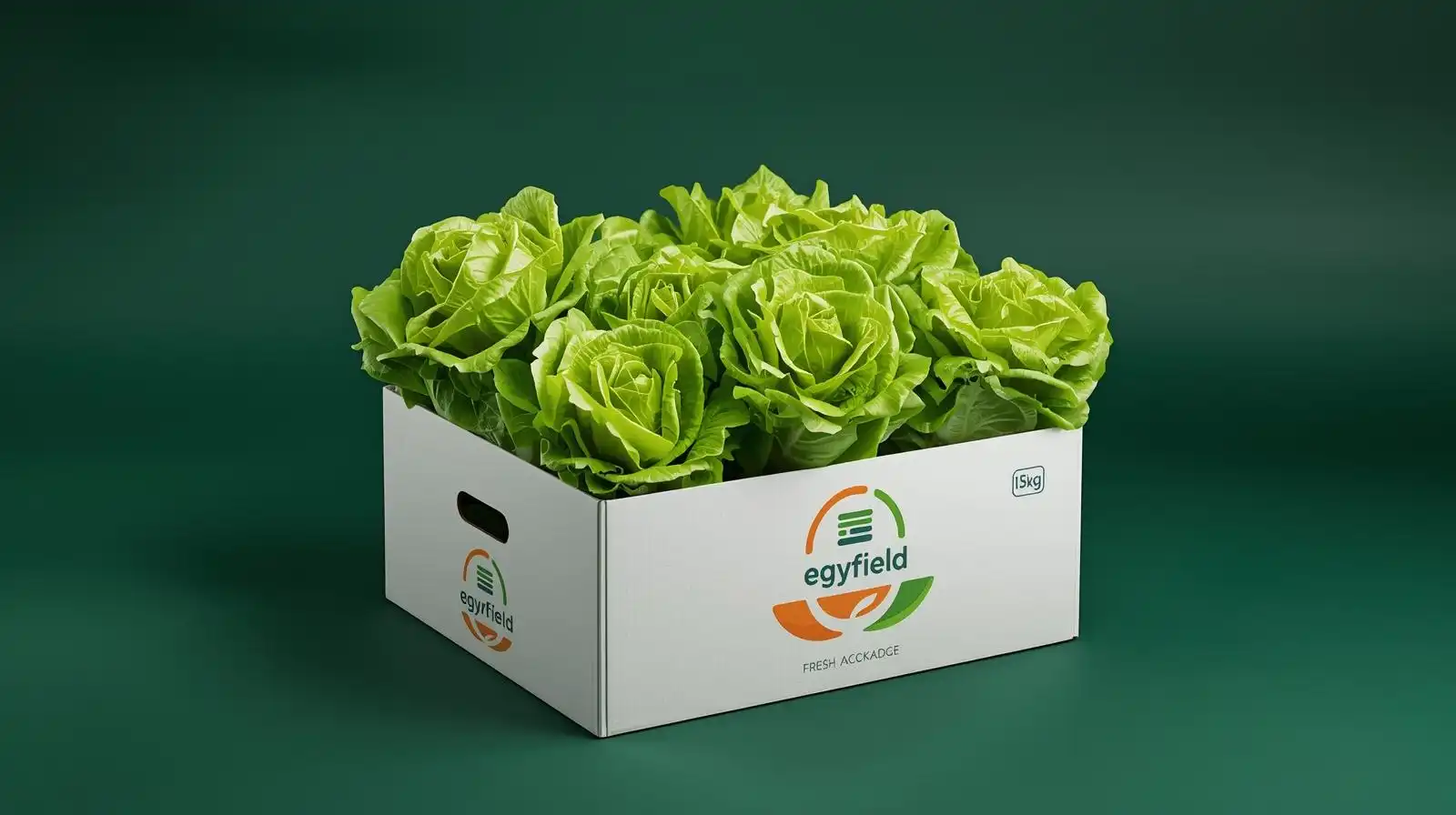 Lettuce